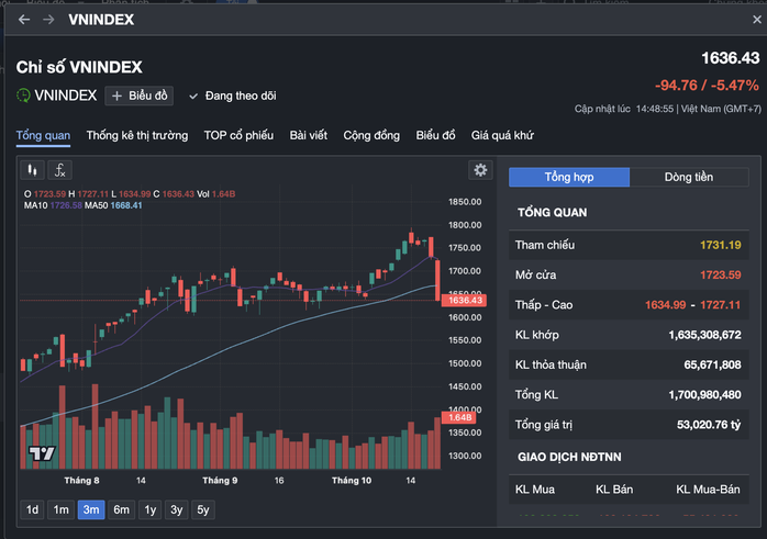 VN-Index có phiên giảm mạnh lịch sử