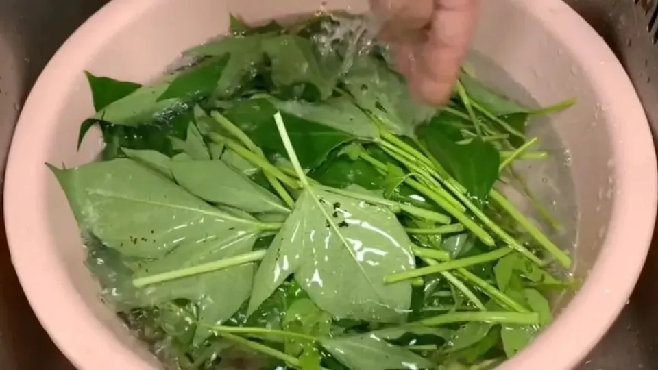2 loại rau trường thọ được người Nhật yêu thích nên thường xuyên có trong bữa ăn - 3