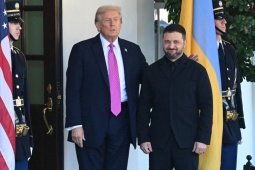 Politico: Ông Zelensky lẽ ra nên hủy chuyến đi đến Nhà Trắng