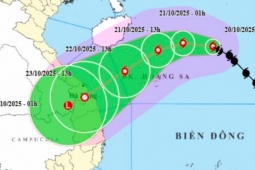 Bão số 12 Fengshen gây mưa lớn kéo dài, có nơi tới 900 mm, khu vực nào chịu ảnh hưởng?