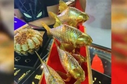 Bỏ 160 triệu đồng mua cá vàng nguyên khối, người đàn ông sốc khi mang bán