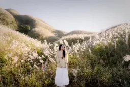 Mùa cỏ lau Bình Liêu 'gõ cửa' khiến dân mê chụp ảnh 'đứng ngồi không yên'