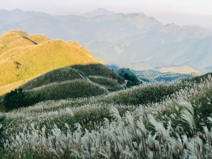 Đến hẹn lại lên, mỗi độ cuối thu, Bình Liêu (Quảng Ninh) lại khoác lên mình tấm áo trắng muốt của cỏ lau, biến nơi đây thành “thiên đường sống ảo” khiến bao du khách mê mẩn. Ảnh Minh Diep