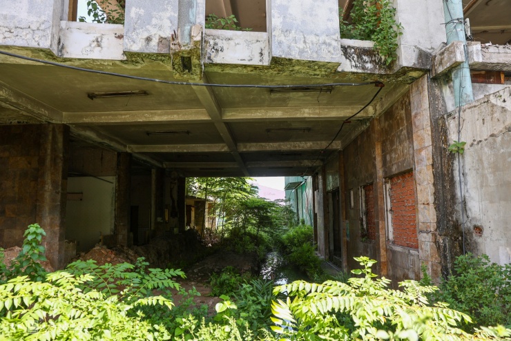 Hiện trạng khu đất 32 ha ở Bến Nhà Rồng sẽ làm công viên - 11