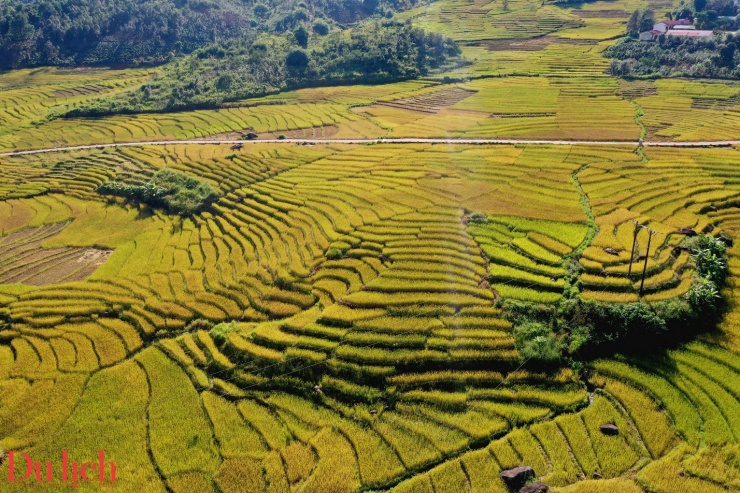 Di sản ruộng bậc thang độc đáo hấp dẫn du khách đến với Măng Ri - 10