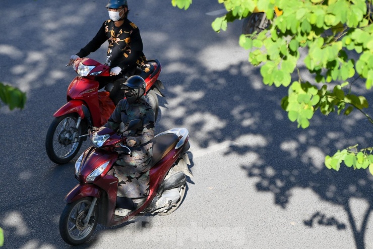 Hà Nội giữa tiết giao mùa: Se lạnh buổi sớm, rực rỡ nắng trưa - 6