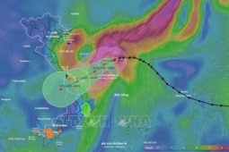 Tin tức trong ngày - Tin bão mới nhất: Bão số 12 giật cấp 12 áp sát miền Trung, nơi nào tâm điểm mưa to?