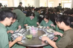 244 sinh viên nghi bị ngộ độc, xử phạt đơn vị cung cấp suất ăn