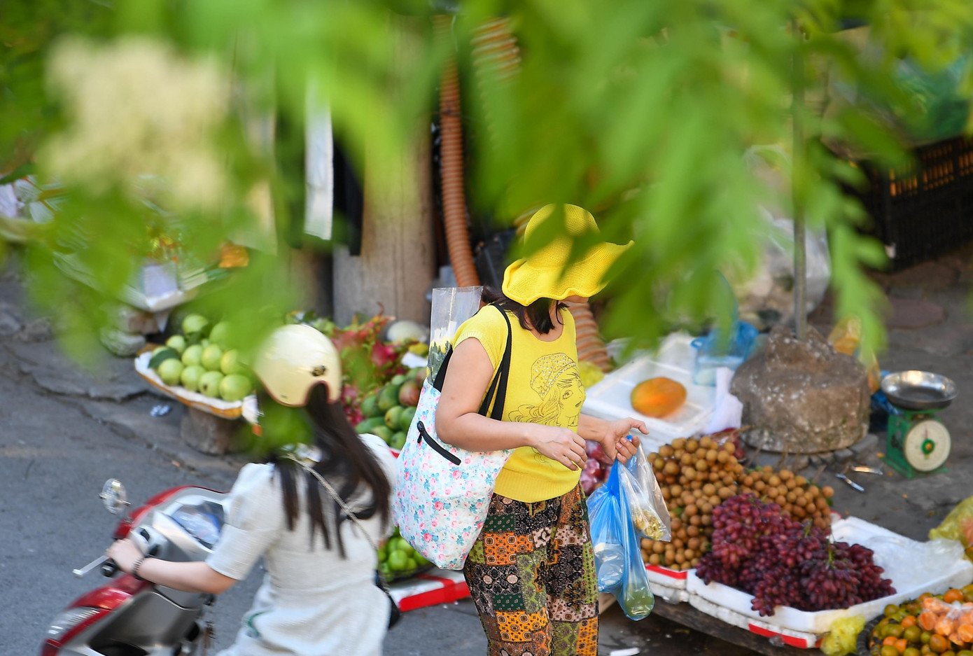 Hà Nội giữa tiết giao mùa: Se lạnh buổi sớm, rực rỡ nắng trưa - 9