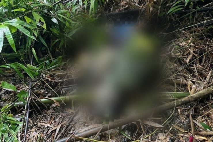 Hiện trường nơi ông T. tử vong xuất hiện nhiều dấu chân nghi là voi.