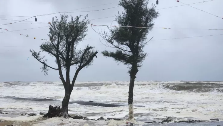 Đá và cành cây cũng bị sóng biển đẩy vào sâu trong đất liền. Ảnh: NGUYỄN DO
