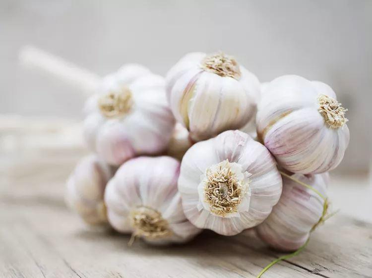 Nếu biết 8 lợi ích quý hơn vàng của tỏi, bạn sẽ muốn ăn nó nhiều hơn - 1