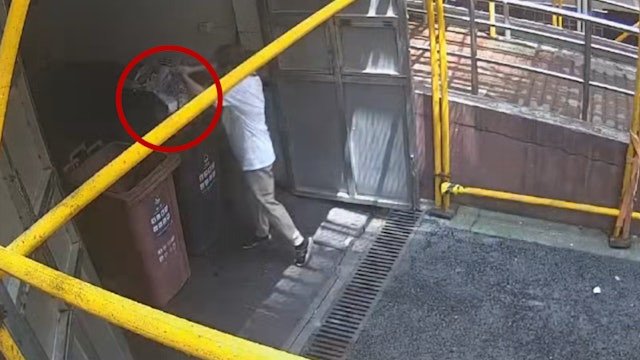 Ảnh: Shanghai Citizen Express