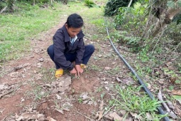 Xã báo cáo vụ người đàn ông chết trong rừng, cạnh dấu chân nghi của voi