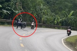 Clip: Thanh niên dừng xe giữa đường “tay không bắt rắn”, ai nhìn cũng thót tim