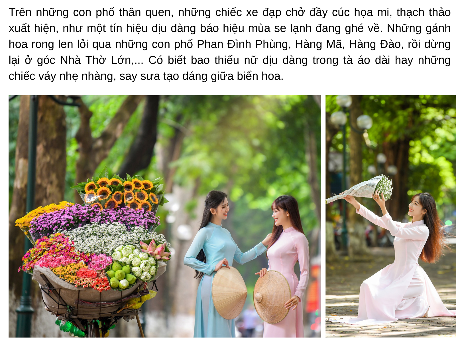Mùa thu Hà Nội khiến ta xuyến xao như ngày đầu nắm tay người thương - 3