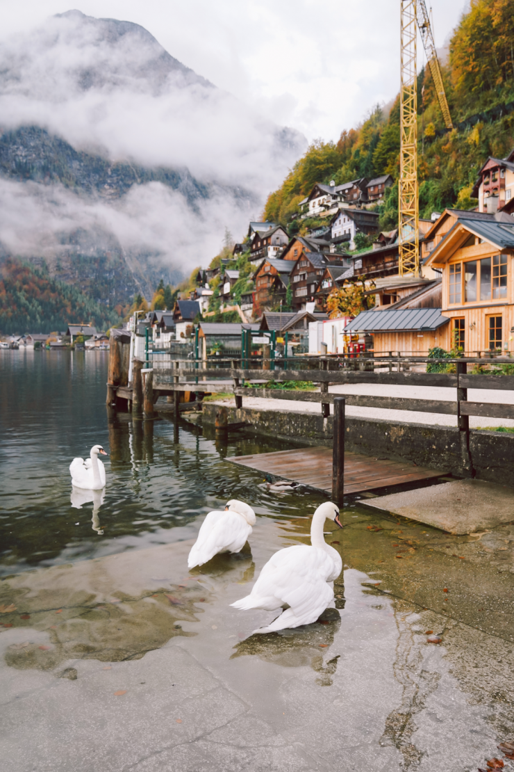 Mùa thu ở thị trấn Hallstatt đẹp nhất thế giới trong mắt khách Việt - 7