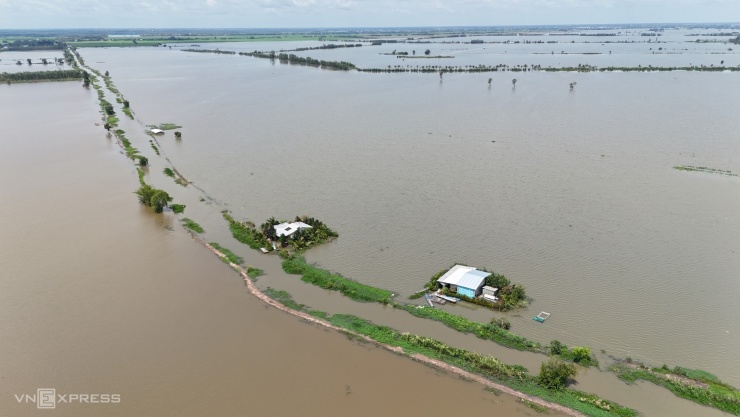 Bơi xuồng trong nhà ở đợt lũ lớn nhất thập kỷ tại Đồng Tháp Mười - 1