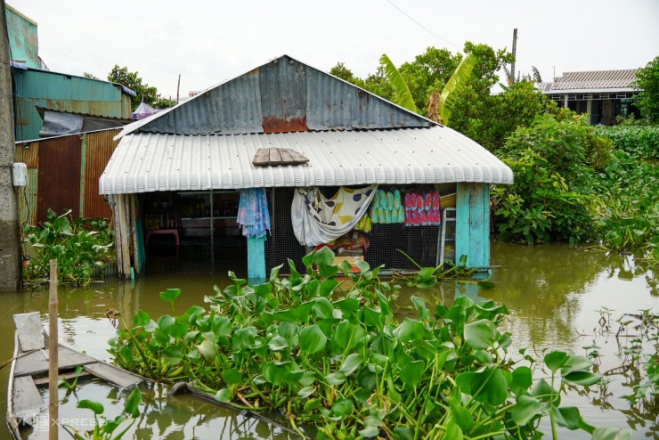 Bơi xuồng trong nhà ở đợt lũ lớn nhất thập kỷ tại Đồng Tháp Mười - 4