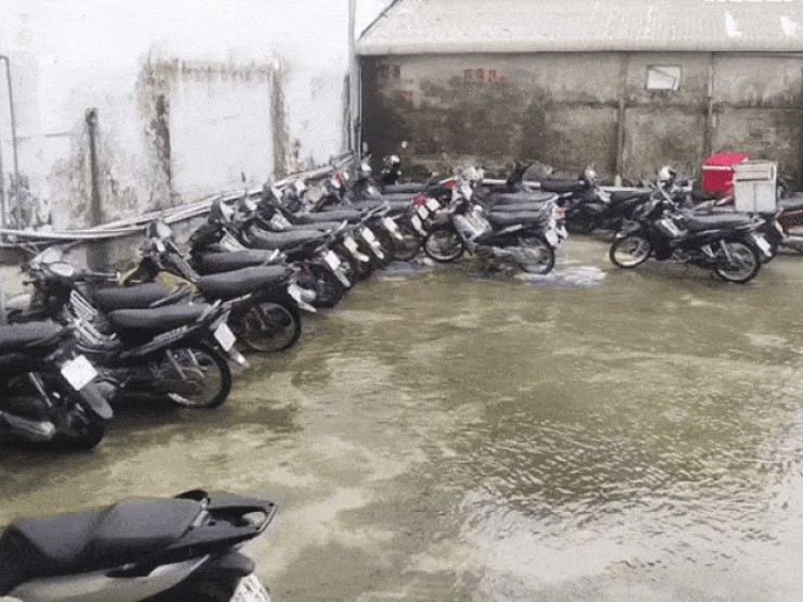 Clip: Hành động của một thôn ở Đà Nẵng