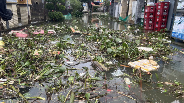 Bên trong ngôi làng bị triều cường "tấn công", nước lụt bủa vây nhiều ngày - 10