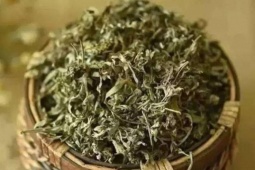 Tin tức sức khỏe - Người bị đau xương khớp nên dùng ngay loại lá này trong vườn nhà