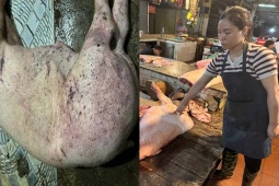 Bắt hai vợ chồng chuyên mổ lợn dịch bệnh bán cho người dân ở Hà Nội