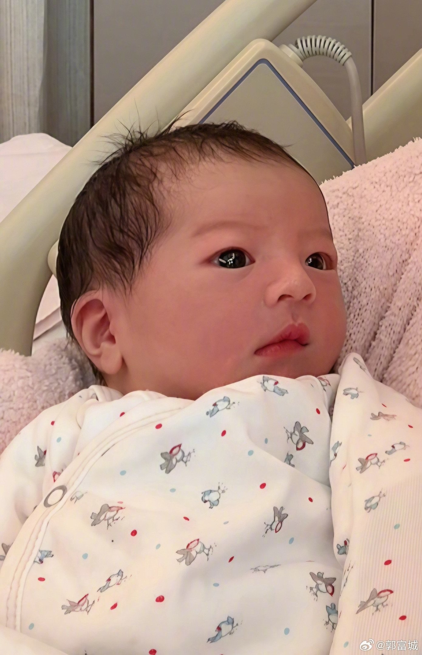 Quách Phú Thành tiếp tục đón công chúa thứ ba.