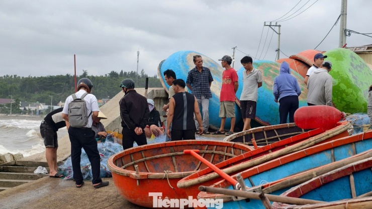 ‘Đánh liều’ ra khơi giữa sóng lớn, ngư dân Quảng Ngãi trúng đậm - 11