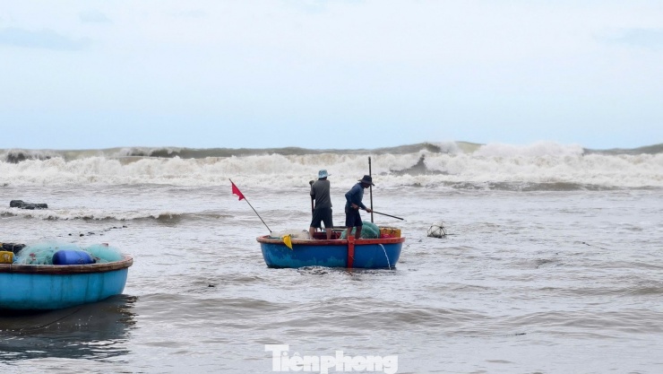 ‘Đánh liều’ ra khơi giữa sóng lớn, ngư dân Quảng Ngãi trúng đậm - 16