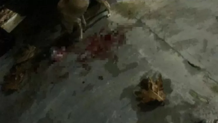 Nơi xảy ra vụ việc.