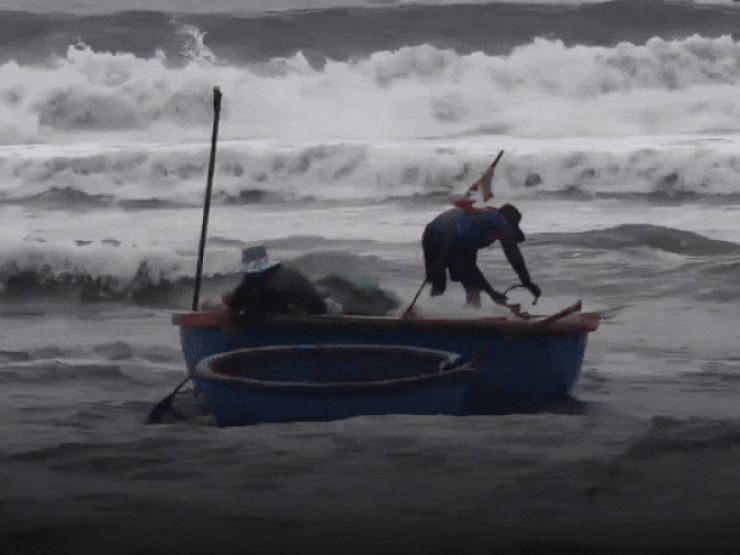 ‘Đánh liều’ ra khơi giữa sóng lớn, ngư dân Quảng Ngãi trúng đậm