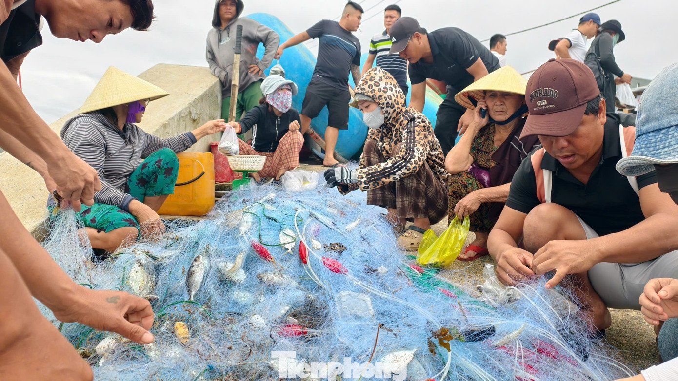 ‘Đánh liều’ ra khơi giữa sóng lớn, ngư dân Quảng Ngãi trúng đậm - 14