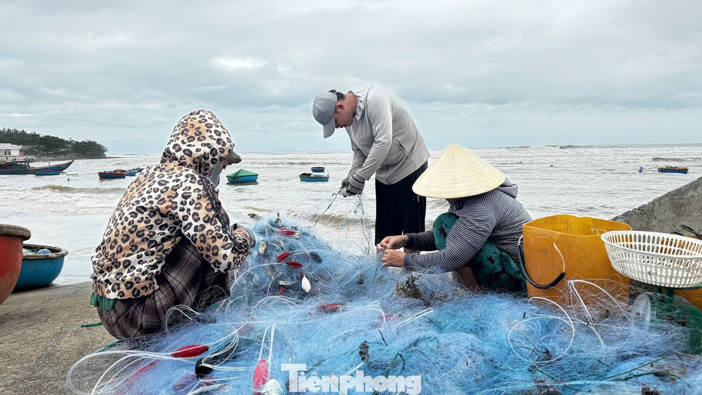 ‘Đánh liều’ ra khơi giữa sóng lớn, ngư dân Quảng Ngãi trúng đậm - 22