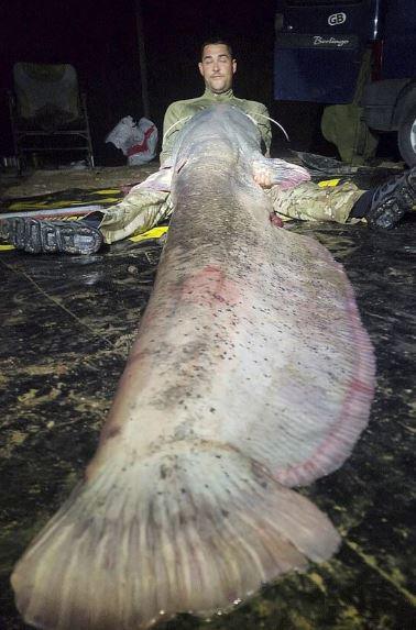 Cần thủ câu được con cá khổng lồ dài 2,97 mét, nặng 117kg - 2