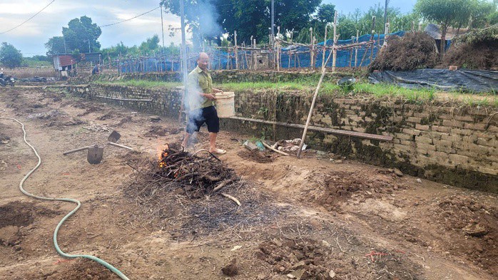 Người dân nhổ bỏ những gốc đào chết rũ để làm lại đất trồng gốc đào mới