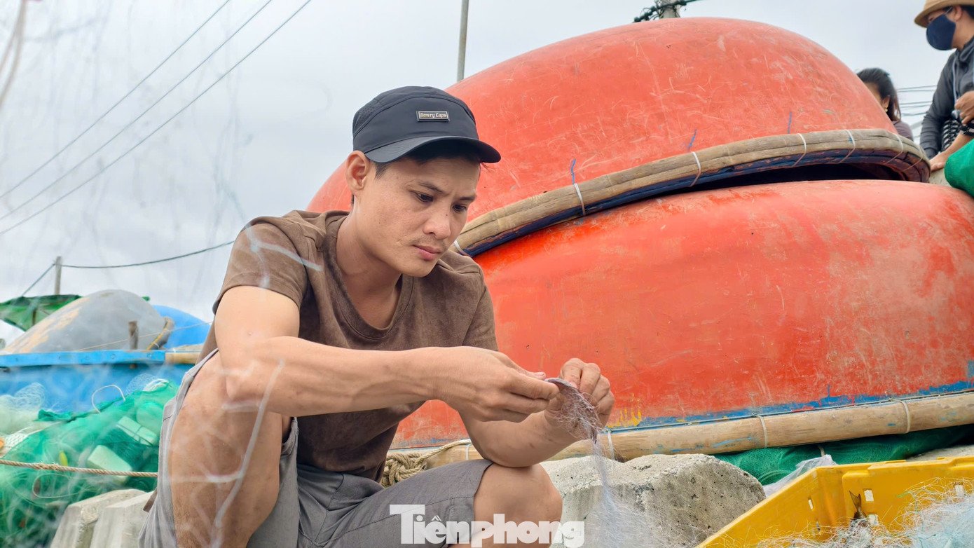 ‘Đánh liều’ ra khơi giữa sóng lớn, ngư dân Quảng Ngãi trúng đậm - 23