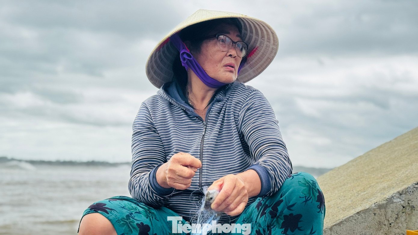 ‘Đánh liều’ ra khơi giữa sóng lớn, ngư dân Quảng Ngãi trúng đậm - 25
