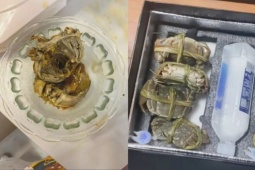 Bỏ gần 2 triệu mua cua, khách sốc nặng khi nhận cua “không chết cũng thối”