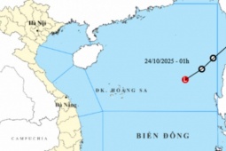 Tin mới về áp thấp nhiệt đới trên Biển Đông