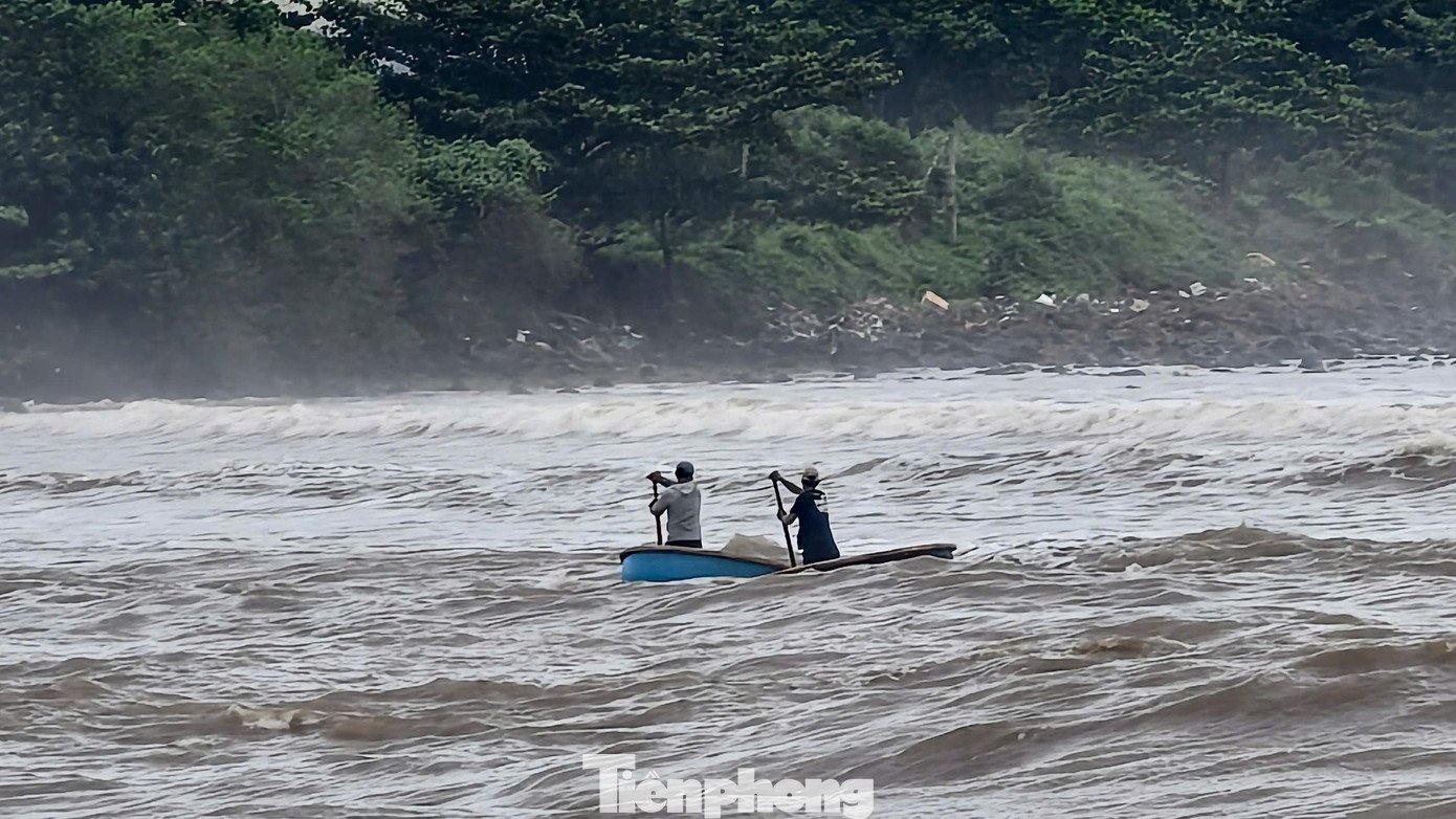 ‘Đánh liều’ ra khơi giữa sóng lớn, ngư dân Quảng Ngãi trúng đậm - 3