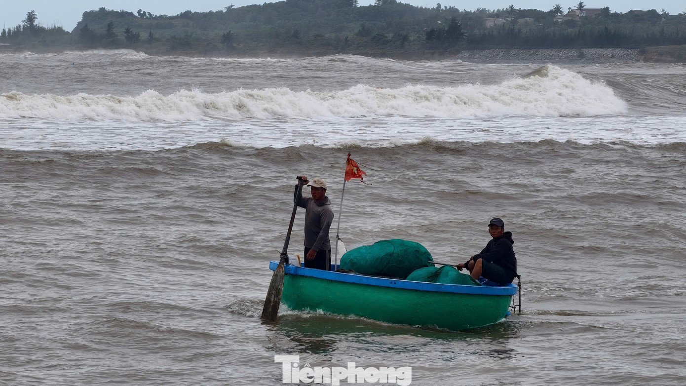 ‘Đánh liều’ ra khơi giữa sóng lớn, ngư dân Quảng Ngãi trúng đậm - 6