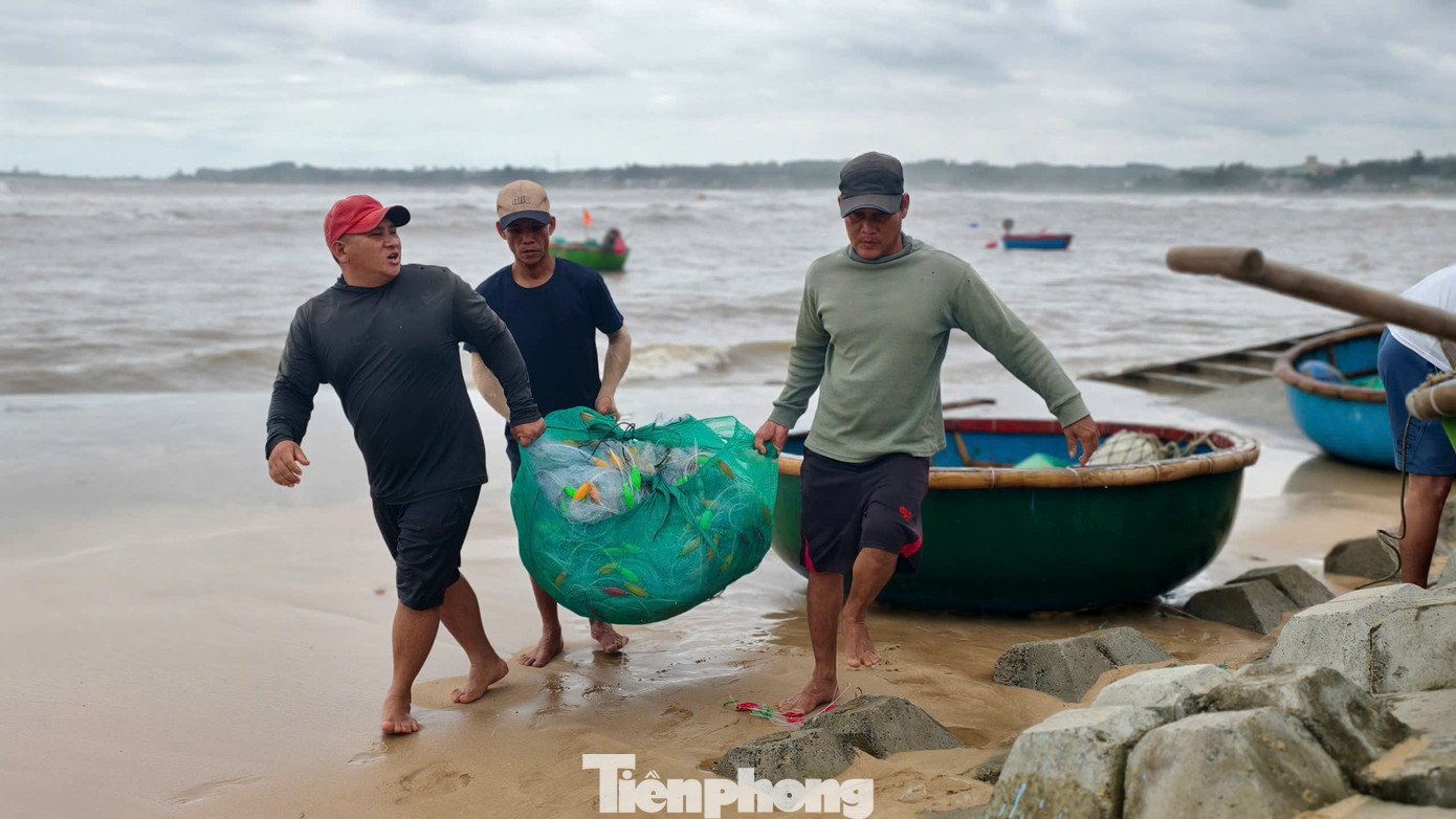 ‘Đánh liều’ ra khơi giữa sóng lớn, ngư dân Quảng Ngãi trúng đậm - 9