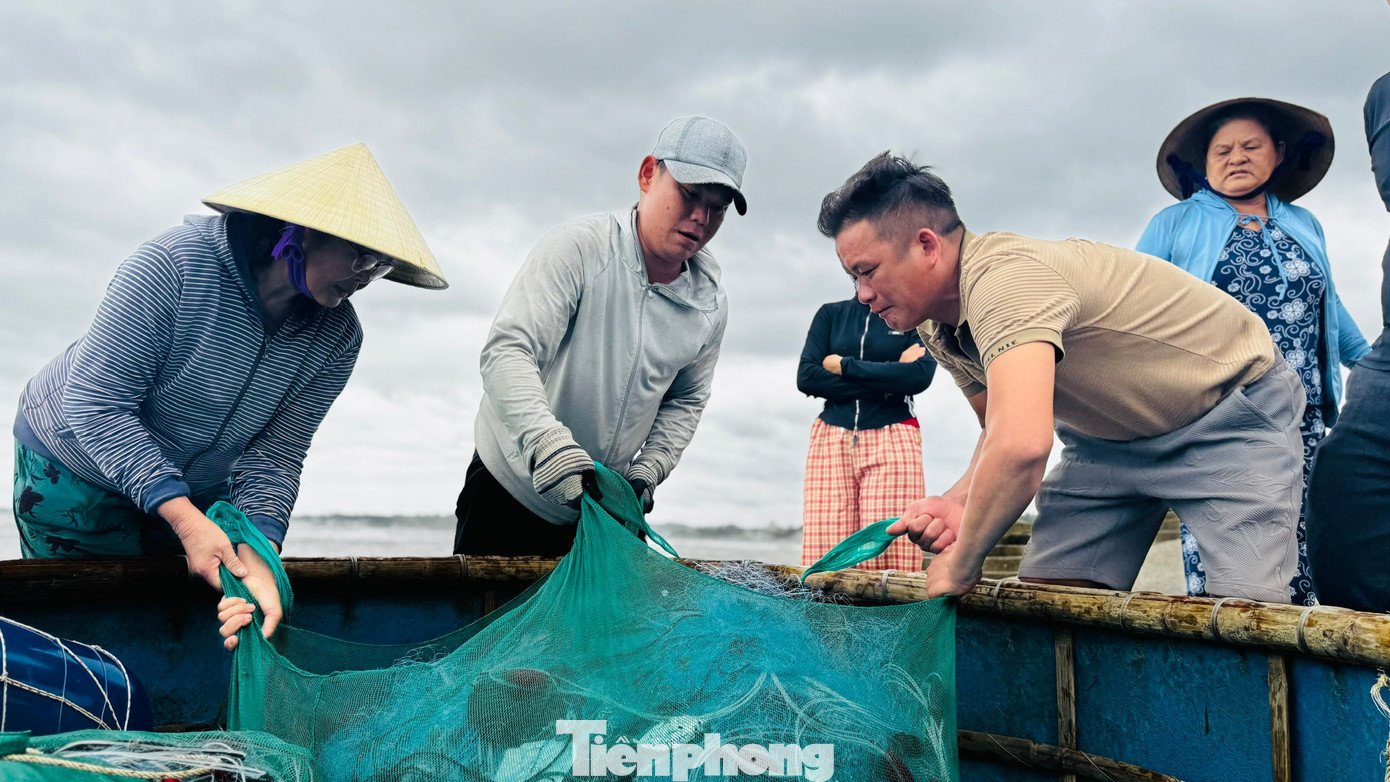 ‘Đánh liều’ ra khơi giữa sóng lớn, ngư dân Quảng Ngãi trúng đậm - 10