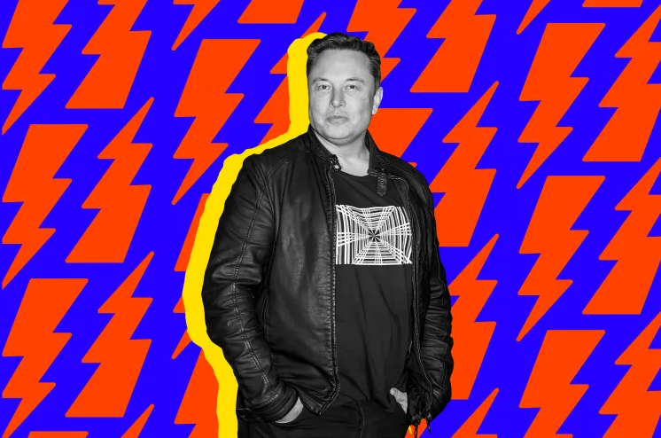 CEO Tesla, Elon Musk.