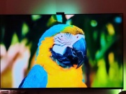 Hệ thống dây LED đồng bộ ánh sáng theo nội dung hiển thị cực bắt mắt