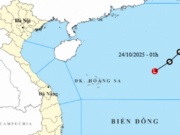 Tin mới về áp thấp nhiệt đới trên Biển Đông