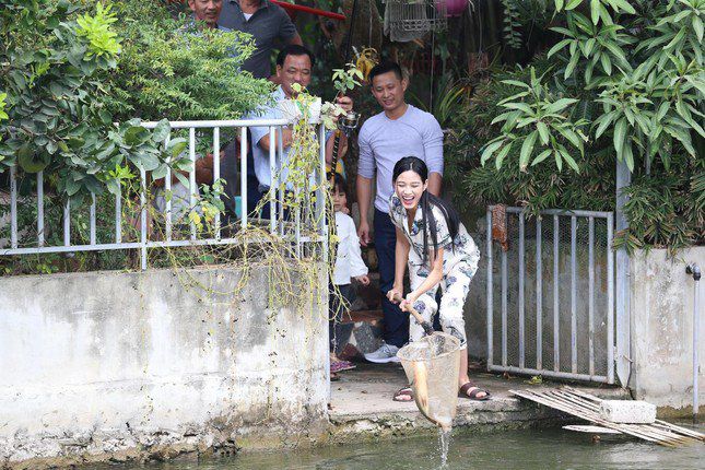 hay bắt cá trong ao nhà vào để nấu ăn.