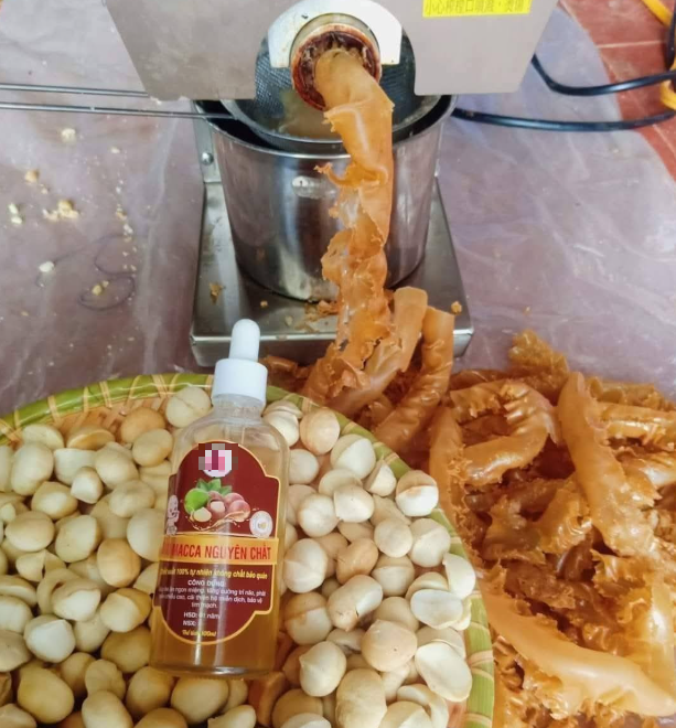 Dầu mắc‑ca ép tại chỗ được nhiều gia đình lựa chọn nhờ hương vị nhẹ và giàu dinh dưỡng.