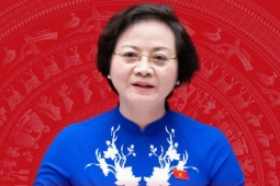 Chân dung nữ Phó Thủ tướng đầu tiên của Việt Nam